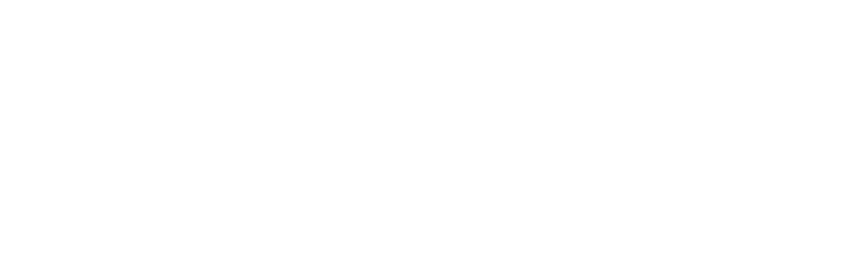 Electronic Senter