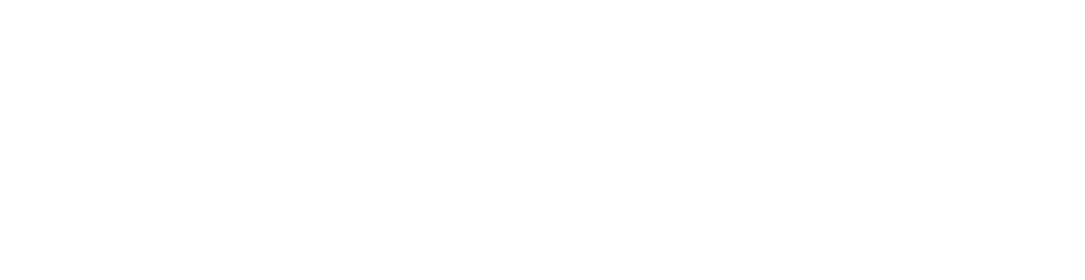 Electronic Senter